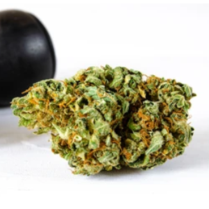 Cannabis flower buds